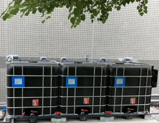 ④ビオトープへ